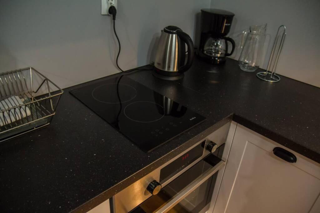 Apartament Salonik u Kazimierza Stary Toruń Zewnętrze zdjęcie